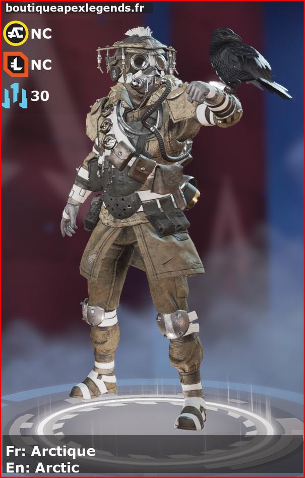 skin pour bloodhound: Arctique en français ou Arctic en anglais , du jeu apex legends