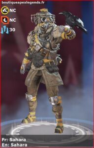 skin pour bloodhound: Sahara en français ou Sahara en anglais , du jeu apex legends