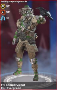 skin pour bloodhound: Sempervirent en français ou Evergreen en anglais , du jeu apex legends