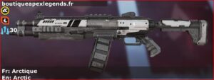 Skin Commun Arctique en français ou Arctic en anglais pour l'arme EVA-8 du jeu vidéo apex legends