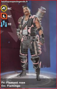 skin pour fuse: Flamant rose en français ou Flamingo en anglais , du jeu apex legends