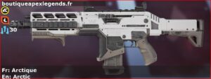 Skin Commun Arctique en français ou Arctic en anglais pour l'arme Hemlok du jeu vidéo apex legends