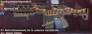 Skin Rare Refroidissement de la colonne vertébrale en français ou Spine Chiller en anglais pour l'arme Hemlok du jeu vidéo apex legends