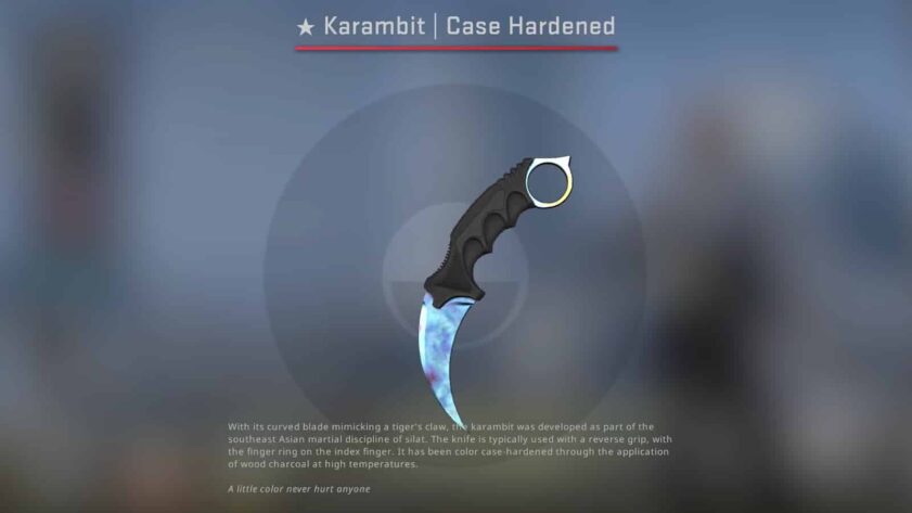 karambit case hardened skins les plus chers de CS2 et CSGO