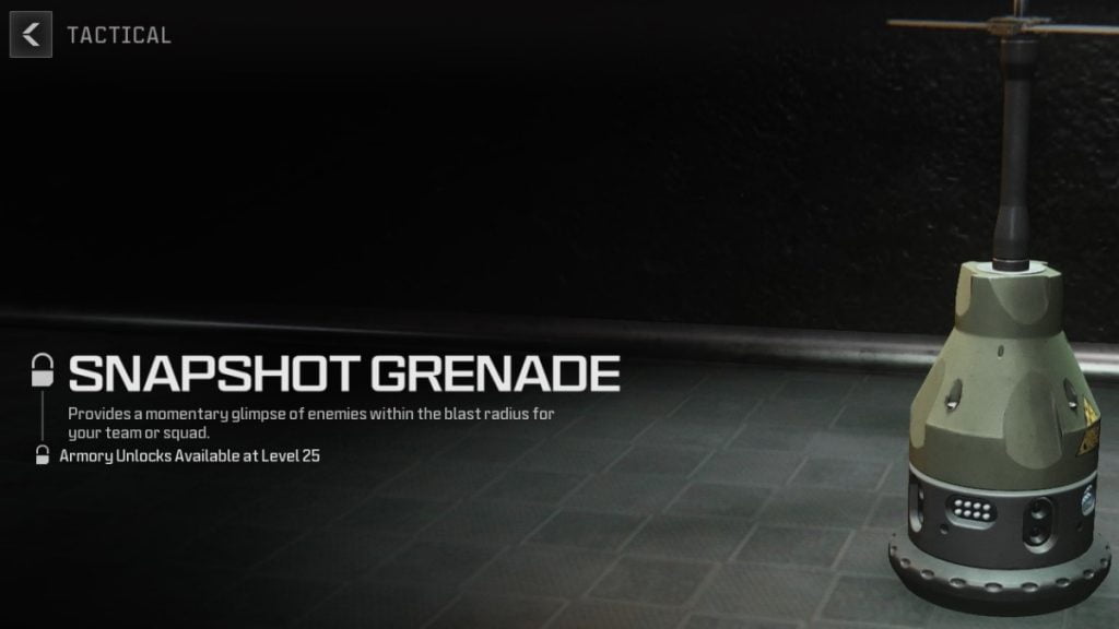 éliminations par pénétration dans Modern Warfare 3 grenade snapshot