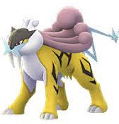 Raikou pokemon